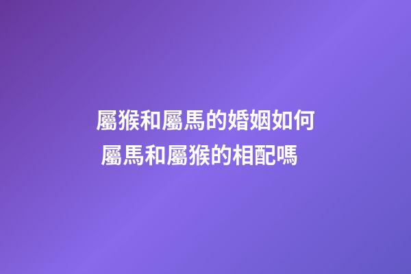 屬猴和屬馬的婚姻如何 屬馬和屬猴的相配嗎-第1張-觀點-玄機派
